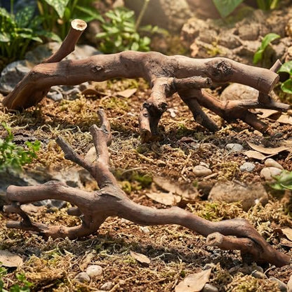 Toddmomy 2pcs Terrarium Wood Branches - Natural Climbing Platform for Reptile Habitat - Snake Tank Decorations Branch for Bearded Dragon, Gecko
