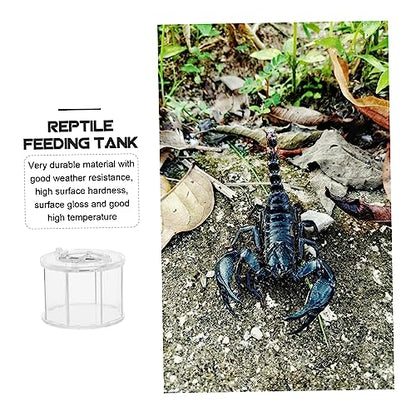 Sosoport Acrylic Reptile Viewing Box Breeding Container for Turtles Spiders Snakes Crabs
