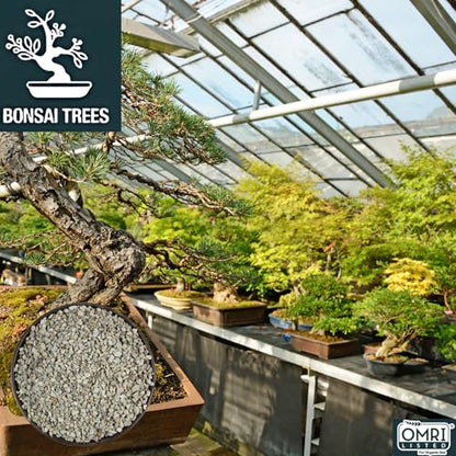 Zeolite Regular 24 lbs, Clinoptilolite 1/8"–1/4" (3–6 mm), Soil Amendment for Succulents, Bonsai & Plants, Improves Drainage and Moisture Balance, Decorative and Aquarium Use - style: Regular - 24 lbs