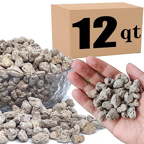 Horticultural Pumice for Plants Professional Sifted (12QT, 1/2 inch) - color: 12QT, size: 1/2 inch