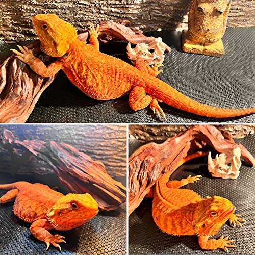 Bearded Dragon Tank Accessories, Reptile Carpet Bedding, Non-Adhesive Reptile Mat Warming Reptile Terrarium Liner Substrate for Leopard Gecko, Snake, Lizard, Tortoise, Iguana Black(18"x72") - color: 18x72" Black