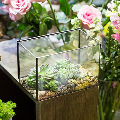 NCYP Small Rectangle Glass Terrarium Planter with Lid, 6.7 x 4 x 4.8 Inches Clear Black Geometric Flower Pot Box for Succulents Air Plant Fern, Tabletop Decoration (No Plants)