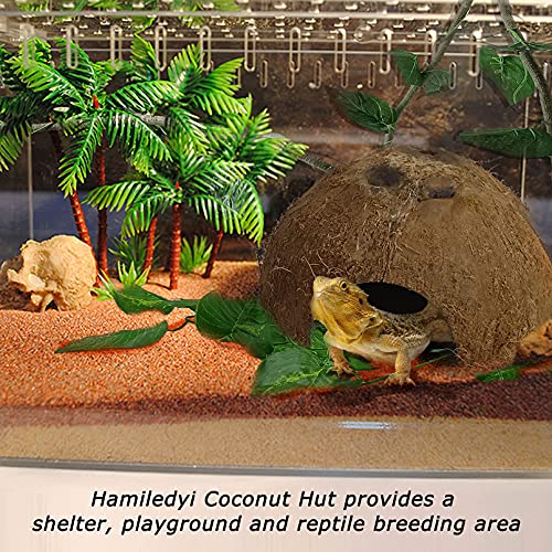 Hamiledyi Reptile Hideouts Natural Coconut Shells Hut Hermit Crab Climbing Toys and Tank Habitat Decorations 2 PCS Terrarium Hanging Plants for Lizard, Snake, Bearded Dragon, Leopard Gecko, Chameleon