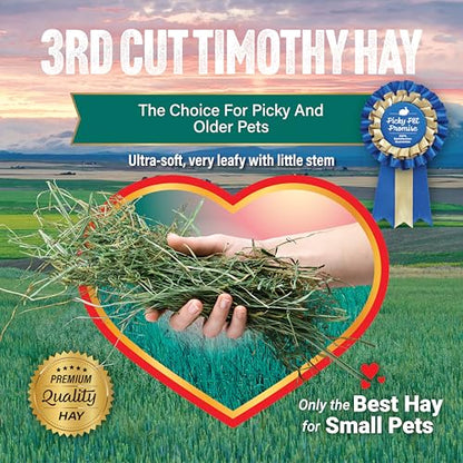 Small Pet Select 3rd Cutting Timothy Hay, Animal Food for Guinea Pig, Rabbit, Hamster, Bunny, or Chinchilla, Natural Hay Grown in The USA, 5lb - size: 5 Pound (Pack of 1)