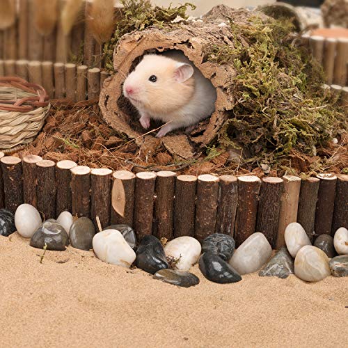 Niteangel Hamster Suspension Bridge Toy - Long Climbing Wooden Ladder for Hamsters Mice Mouse Gerbils Sugar Glider Rat and Other Small Animals (25.6L x 2.8W) - size: 25.6L x 2.8W