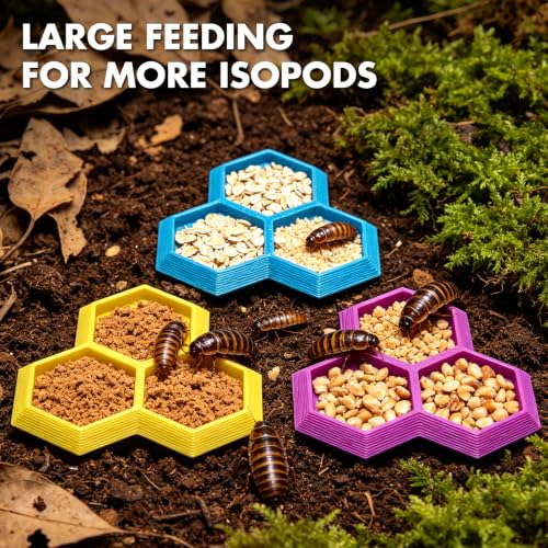 Dubia Roach Large Feeder Bowl, 6 PCS Isopod Food Dish, 3 in 1 Colorful Feeding Water Dish for Live Roach, Isopod, Springtails & Dwarf Invertebrates - color: 6 PCS Dubia Feeding Dish