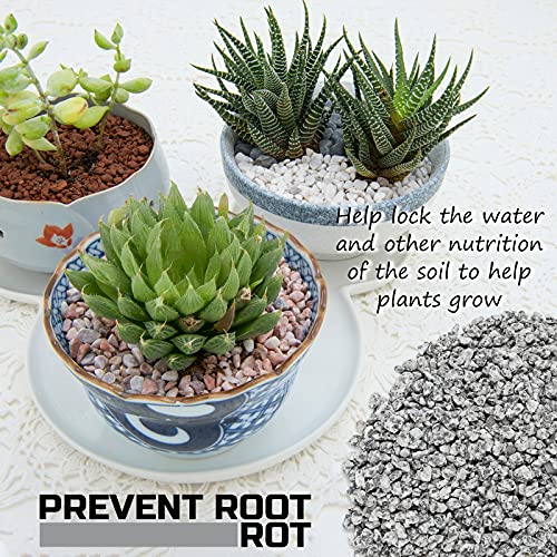 2LBS Horticultural Succulent Rocks Bonsai Mix Succulent Potting Mix Lava Rocks Cactus Soil Potting Mix Amendment - color: Marble Maifanitum