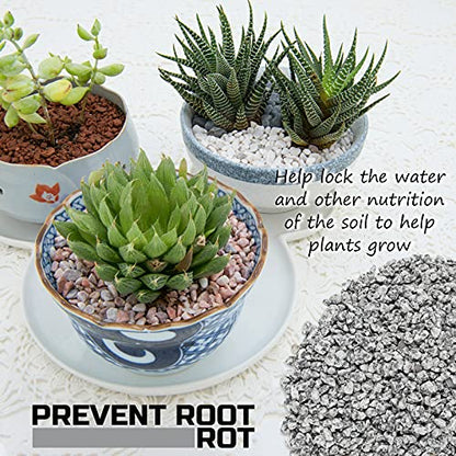 2LBS Horticultural Succulent Rocks Bonsai Mix Succulent Potting Mix Lava Rocks Cactus Soil Potting Mix Amendment - color: Marble Maifanitum