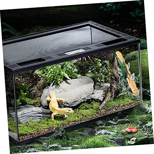Abaodam Bearded Dragon Climbing Branch Suction Cup Reptile Decor for Lizard Enrichment Durable Natural Wood Structure for Bearded Dragons Geckos More