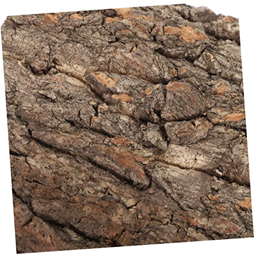 Happyyami 4pcs Fish Tank Landscaping Gecko Tank Backdrop Cork Bark Background Reptile Habitat Decoration Reptile Wooden Cork Tile Aquarium Decor Reptile Tank Natural Cork Bark Crawl 3D