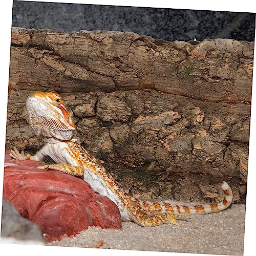 POPETPOP 6pcs Cork Bark Decorative Background for Reptile Tanks and Aquariums Natural Aesthetic Decor for Turtles Lizards and Snakes Easy to Install No Maintenance Required
