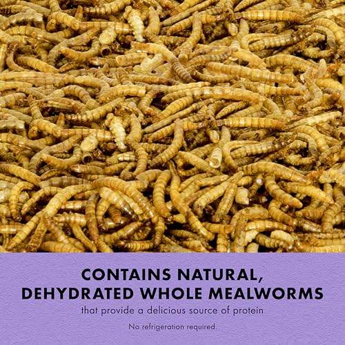 Zilla Reptile Munchies, Mealworms, All-Natural, Dehydrated Mealworms, Ideal for Bearded Dragons, Leopard Geckos, Chameleons and other lizards, Resealable Bag