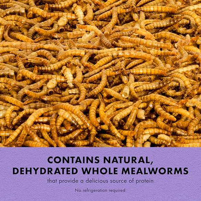 Zilla Reptile Munchies, Mealworms, All-Natural, Dehydrated Mealworms, Ideal for Bearded Dragons, Leopard Geckos, Chameleons and other lizards, Resealable Bag