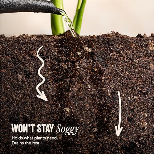 Java Potting Soil: A Well Draining, Coffee‑Infused Living Indoor Mix Ready to Grow. for All Monstera, Calathea, Fiddle Leaf Fig, ZZ, Snake, Spider and Pothos Plants; with Chunky Vermiculite. 6 (QT)