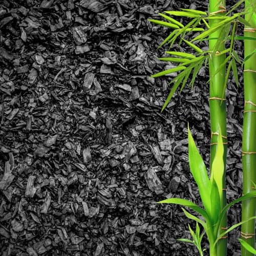GARDENWISE Horticultural Charcoal for Plants – Organic Bio Char Soil Amendment for Terrariums, Indoor Plants & Gardening, Made in USA (20 quarts) - color: Horticultural Charcoal, size: 20 quarts