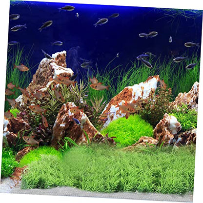 Abaodam 10pcs Stainless Steel Aquatic Moss Mesh for Fish Tank Planting Plant Fixed Net for Aquarium Accessories Easy to Install and
