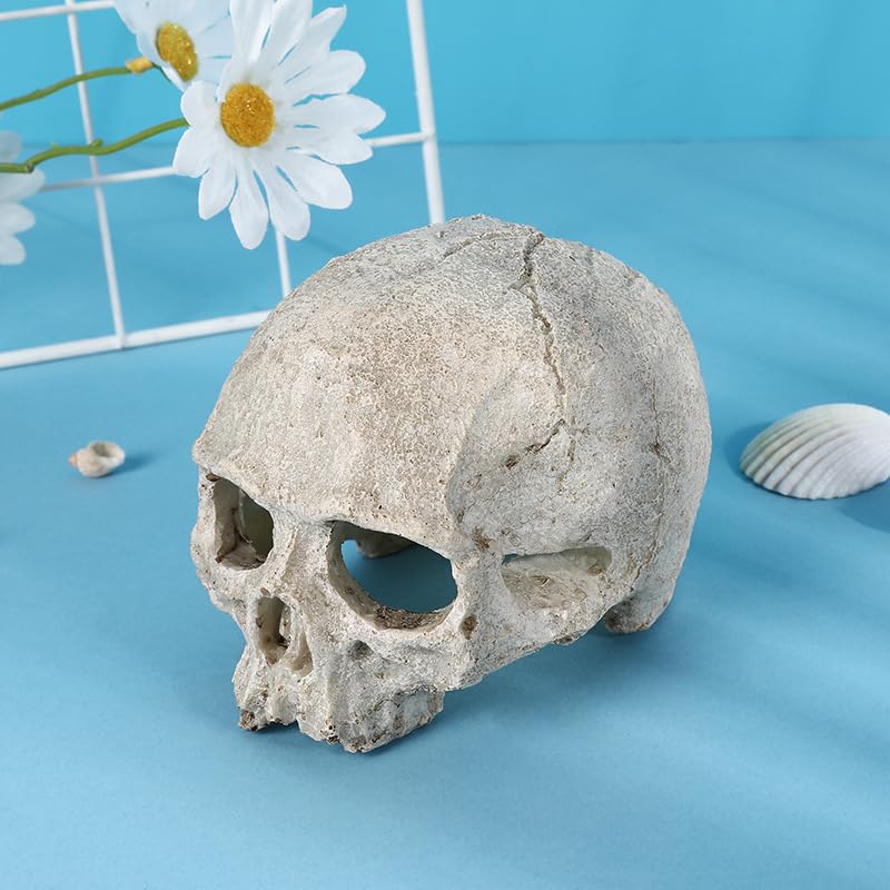 Halloween Aquarium Landscape Skull Aquarium Skull Artificial Skeleton Decoration for Home Décor Aquarium Fish Tank Landscape Collectible Teaching Prop