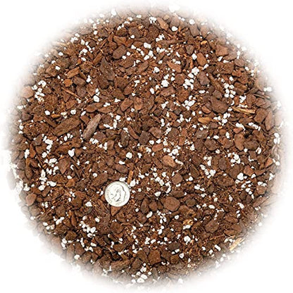 Premium Thai Constellation Monstera Soil Mix - Expertly Formulated for Strong and Healthy Roots by Gardenera - 2 Quart - size: 2 QUART