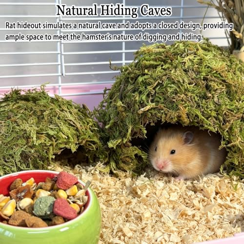 kathson 2Pcs Hamster Hideout, Hamster House, Natural Mossy Coconut Hut, Pet Hiding House, Small Animal Cage Accessories for Mouse Mice Rat Guinea Pigs Reptiles