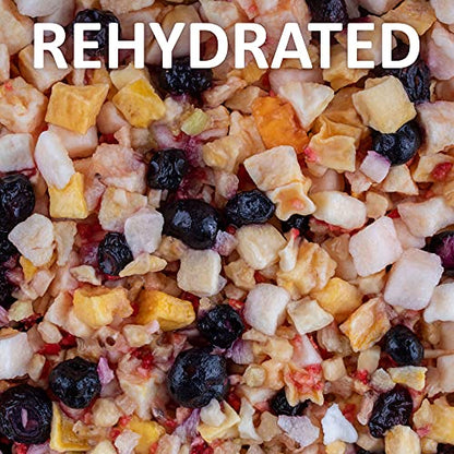 Healthy Herp Fruit Mix Instant Meal Reptile Food - Bearded Dragon Accessories & Bearded Dragon Food - Nutritious Blend for Bearded Dragons, Box Turtles, Tortoises, Hermit Crabs - 3.5 oz (99g) - size: 4.3 Ounce (Pack of 1), style: Jar