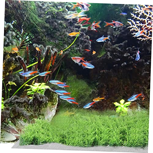 DECHOUS 10pcs Stainless Steel Aquarium Plant Mesh Grass Decor Net Fish Tank Accessory Rustproof Fish Tank Plant Holder