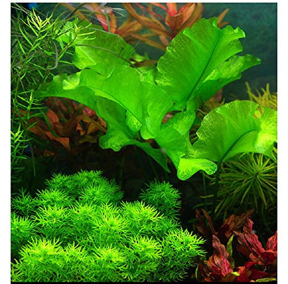Hewnda 2 LB to Complete Freshwater Planted Aquarium Substrate,Aquatic Plant Cultivation Medium