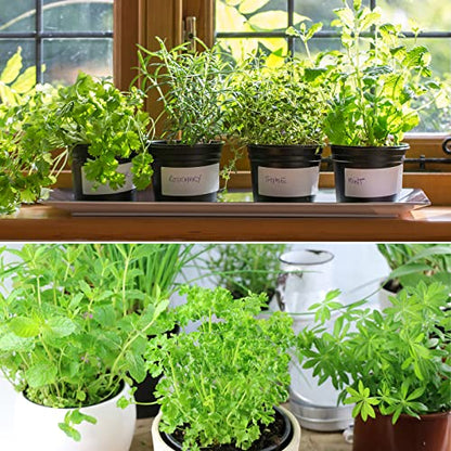 Doter Organic Potting Soil Mix 4qt for All Indoor & Outdoor Small Containers Including Herbs, Vegetables, and Flowers - size: 4qt