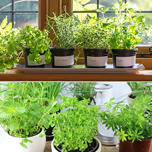 Doter Organic Potting Soil Mix for All Indoor & Outdoor Small Containers Including Herbs, Vegetables, and Flowers 2 qt - size: 2qt