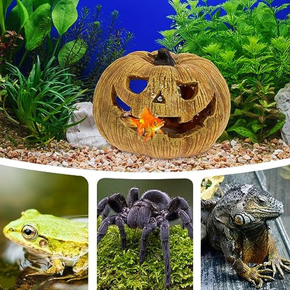POPETPOP Pumpkin Reptile Hideout Lifelike Resin Cave for Tortoise Reptile Shelter Aquarium Decoration Halloween-Themed Box for Lizards Snakes