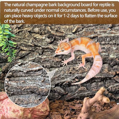 Hamiledyi Cork Terrarium Background 11.8x7.9in 4PCS Natural Reptile Cork Bark Flats Terrarium Board Bearded Dragon Climbing Wall Mat Tank Decor for Lizard Chamelon Snake Turtle Spider Crested Gecko - size: 4PCS-11.8x7.9in