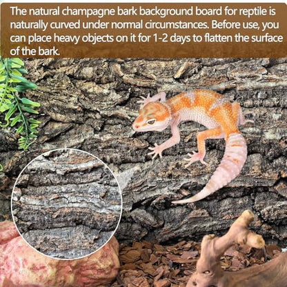 Hamiledyi Cork Terrarium Background 11.8x7.9in 6PCS Natural Reptile Cork Bark Flats Terrarium Board Bearded Dragon Climbing Wall Mat Tank Decor for Lizard Chamelon Snake Turtle Spider Crested Gecko - size: 6PCS-11.8x7.9in
