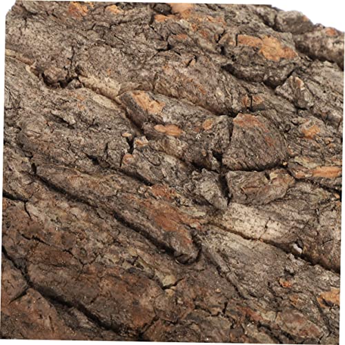 ORFOFE 4Pcs Natural Cork Bark for Reptile Tanks Terrarium Decor for Bearded Dragons Lizards and Aquatic Enclosures Enhances Habitat Aesthetics and Health
