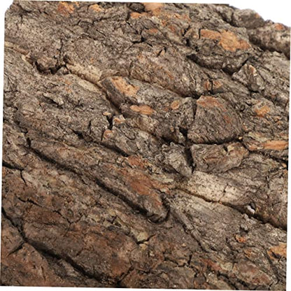 ORFOFE 4Pcs Natural Cork Bark for Reptile Tanks Terrarium Decor for Bearded Dragons Lizards and Aquatic Enclosures Enhances Habitat Aesthetics and Health