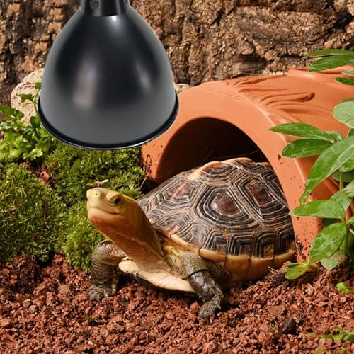 Terrarium Light Fixture - Reptile Heat Lamp Fixture with Deep Dome Design, UVB Bulb Reflector | Heat Bulbs Basking Lamp Holder, Optical Reflection Cover for Lizards, Turtles, and Amphibians - color: 8.5inch