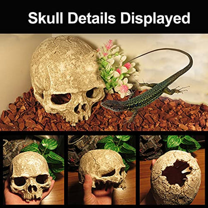 Tfwadmx Aquarium Skull Decor, Resin Fish Tank Decorations Aquarium Shrimp Cave Betta Fish Hiedout Reptile House for Small Fish,Shrimp
