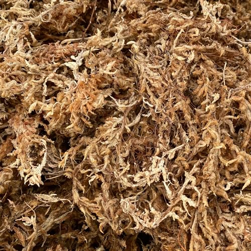 Better-Gro Sphagnum Moss - 100% Natural, Long-Fiber Moss for Orchids, Ferns, and Hostas, Excellent for Hanging Baskets and Propagating Plants - 240 Cubic Inches (Pack of 12) - size: Single (Pack of 12)