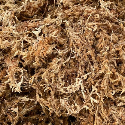 Better-Gro Premium Grade Orchid Moss - 100% Natural, Imported Sphagnum Moss for Orchids, Ferns, and Hostas, Excellent for Hanging Baskets and Propagating Plants - 190 Cubic Inches - size: 190 cu. in.
