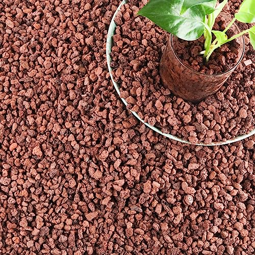 18LB Red Lava Rocks for Plants, Volcanic Rock Horticultural Lava Rock Soil for Landscaping Plants Drainage, Small Lava Rock Gravel for Succulents, Bonsai, Vase Fillers, Terrarium Plants, Top Dressing - color: Red, size: 18lb
