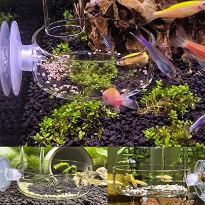 Aquarium Shrimp Feeder Dish Glass Fish Tank Feeding Bowls, 1pcs Round Glass Food Bowl (60mm), 2pcs Square Fish Feeding Bowls with Suction Cups (60mm) - size: 3x Bowl Combine 3