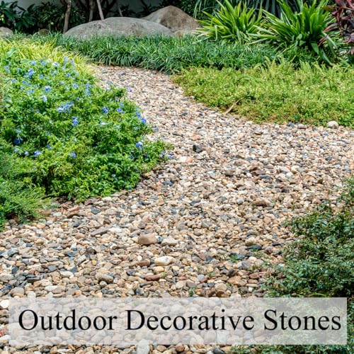 FANTIAN 40 lbs Aquarium Gravel, 1/4 Inch Fish Tank Pea Gravel, Decorative River Rocks Stone for Freshwater Tanks, Outdoor Pond, Garden, Landscaping, Terrarium, Soil Drainage - size: 1/4 Inch