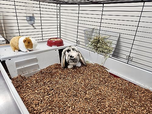 Coir Wonder Small Animal Bedding – 20 L –– Coco Chip Fiber Bedding Substrate for Guinea Pig, Hamster, Rabbit, Bunny Litter, Tortoise, Turtle, Reptile, Snake Habitat - Activated Charcoal Odor Control