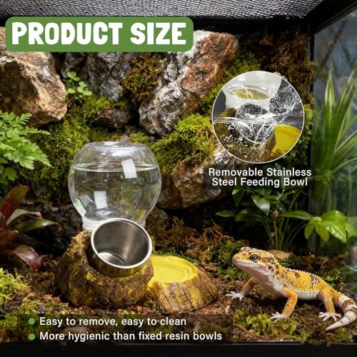 Reptile Feeder,Feeding Drinking Dish for Reptile,Leopard Water and Food Bowl - for Enclosure Terrarium Turtle Tortoise Snake Bearded Dragon Lizard Chameleon Leopard