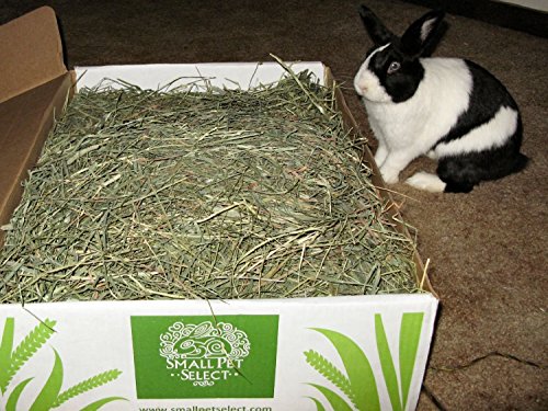 Small Pet Select 3rd Cutting "Super Soft" Timothy Hay Pet Food, 20 Lb. - size: 20 Pound (Pack of 1)