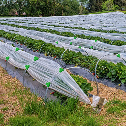 Patelai 40 Pieces Greenhouse Clamps Film Row Cover Netting Tunnel Hoop Clip Frame Shading Net Rod Clip Greenhouse Film Clamps for Season Plant Extension Support (40 pieces,10 mm)