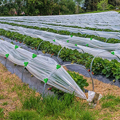 Patelai 40 Pieces Greenhouse Clamps Film Row Cover Netting Tunnel Hoop Clip Frame Shading Net Rod Clip Greenhouse Film Clamps for Season Plant Extension Support (40 pieces,10 mm)