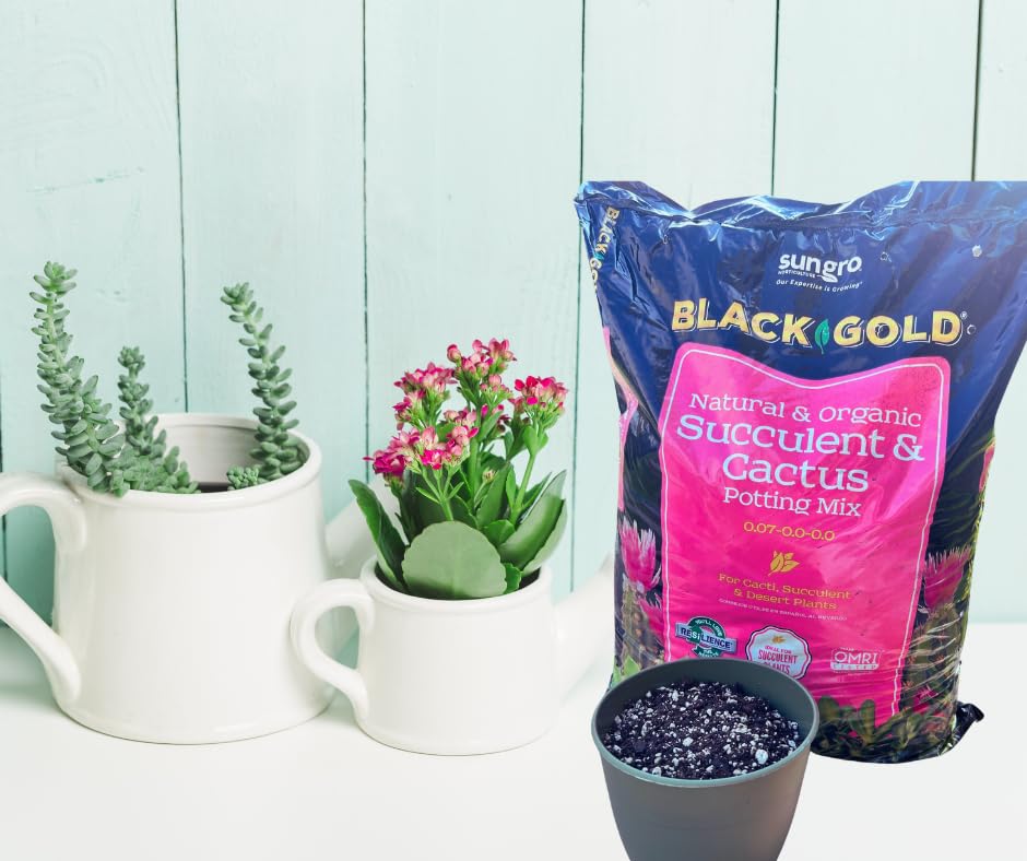 Sungro Horticulture Succulent Cactus Potting Mix - Fast Draining, Black Gold - 8 Qt - Earthworm Castings, Pumice, Perlite