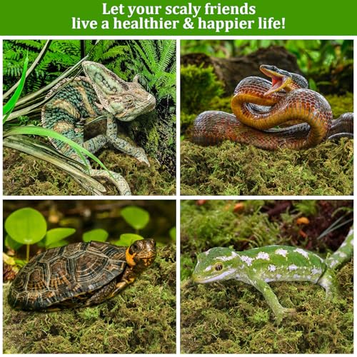 Legigo 2.6LB Sphagnum Moss for Reptile- 48QT Natural Reptile Moss Terrarium Moss Substrate, Snake Tank Moss Peat Moss Reptile Bedding for Snake, Gecko, Ball Python, Frog and Orchids Plants - size: 2.6LB