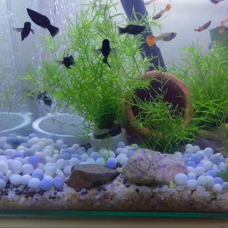 YUWIXMOX 360 Pieces Mineral Balls for Freshwater Aquarium Tank. Weakly Alkaline Balls Substrate Gravel for Aquascape Shrimp Tank