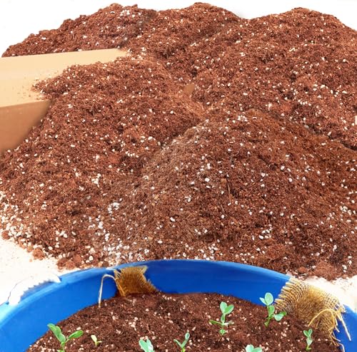 29QT Potting Soil Mix for Indoor Plants - Contains Perlite, Peat Moss, Coco Coir & Rice Charcoal, Natural & Organic Material with Well-Draining, Light & Aerated Texture for Healthy Roots & Fast Growth - color: Potting Soil, size: 29QT