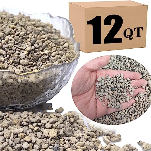 Horticultural Pumice for Plants Professional Sifted (12QT, 1/4 inch) - color: 12QT, size: 1/4 inch